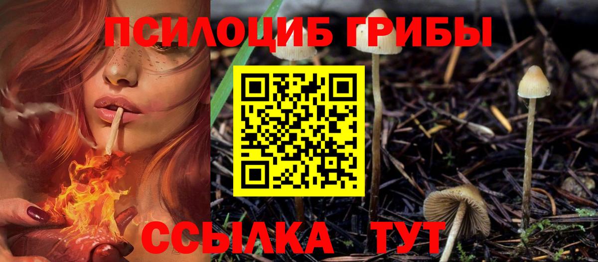 Псилоцибиновые грибы ЛСД Королёв